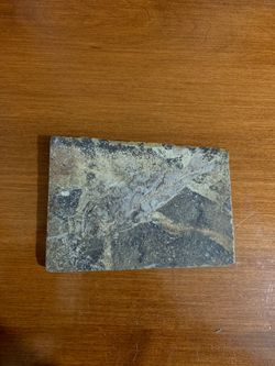 Fish Fossil stone