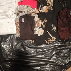 Women's  Clothing Lot 
