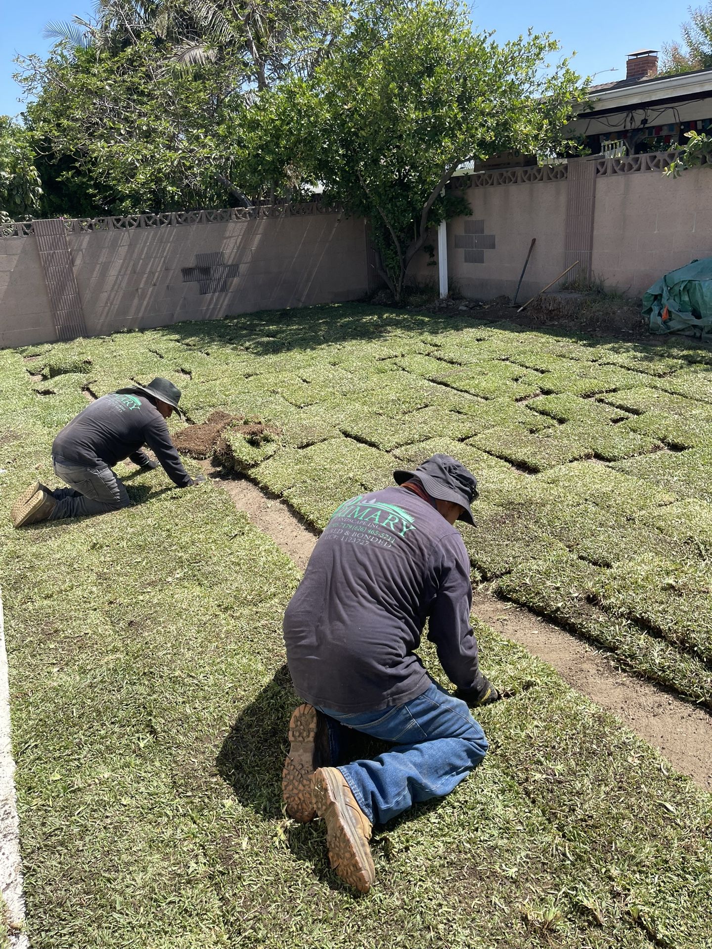 (((((SOD)))INsTALLATIOn))))