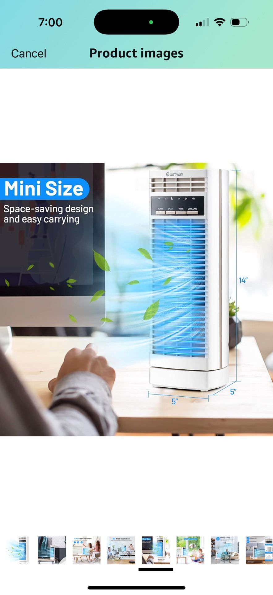 Portable Fan