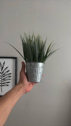 fake plant 