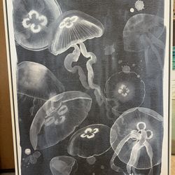 Jellyfish Art See Description 