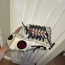 Softball Gloves & Bat