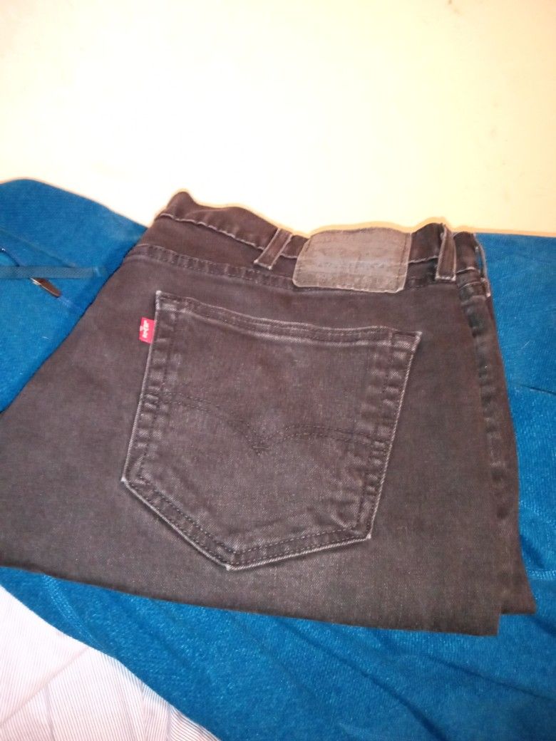 Levi's, Duluth Trading Co. hoody, Nike windbreaker, US polo bras