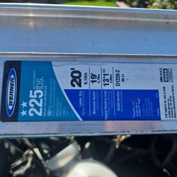 Werner 20 Ft Ladder