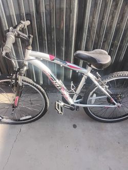 Schwinn Youth Bike