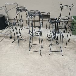 Plants  Stands 15 N 20  Each Need Gone