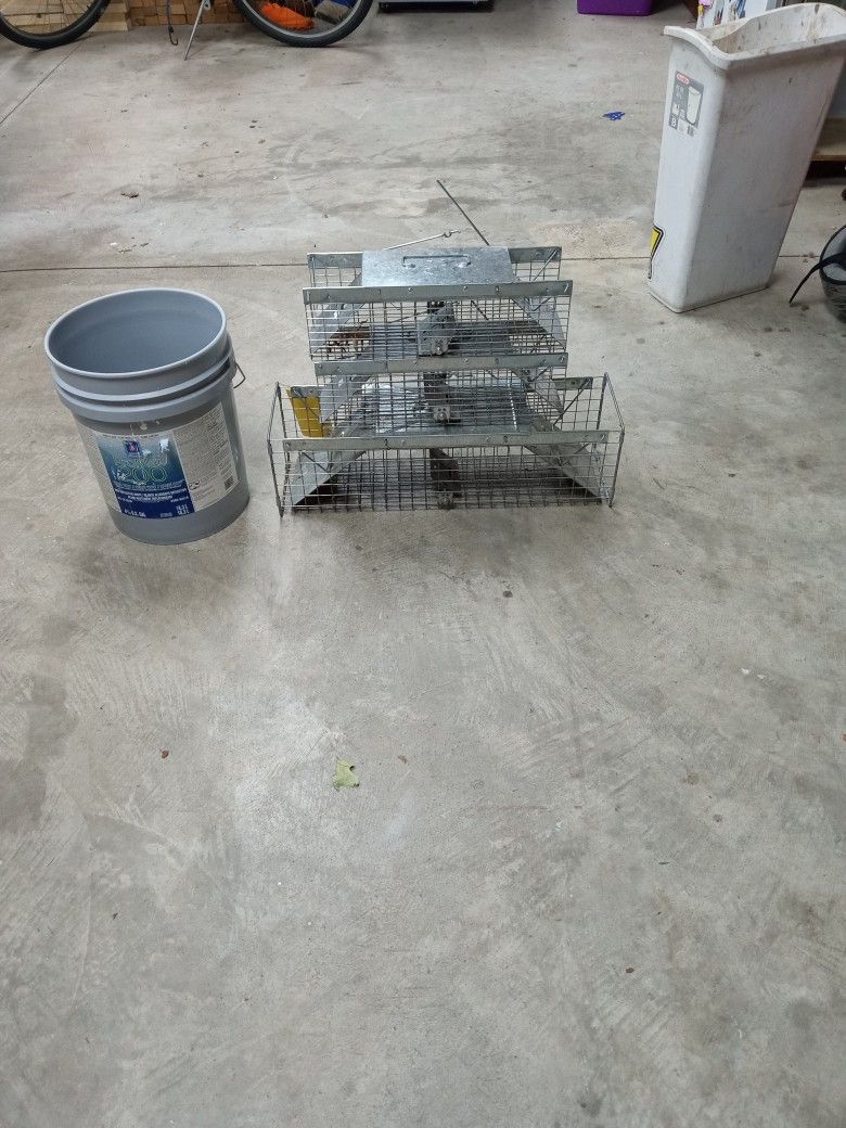 Three Rodent Traps