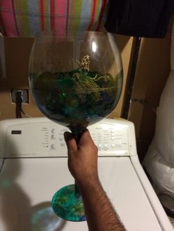 Wine glass