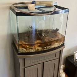 30 Gallon Fish Tank