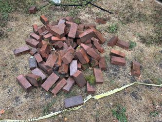 Free Bricks