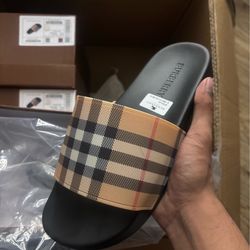 7-9 Bur berry slides