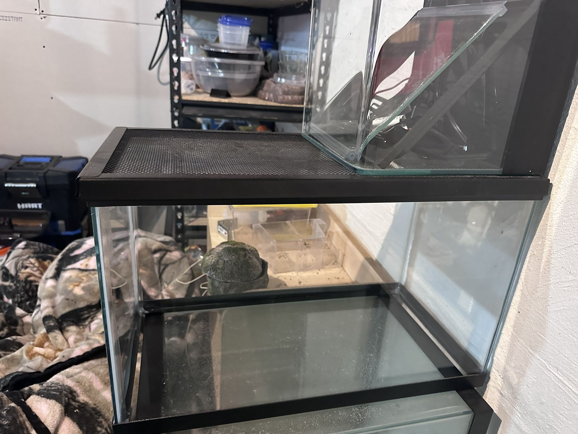 Fish/reptile Tanks