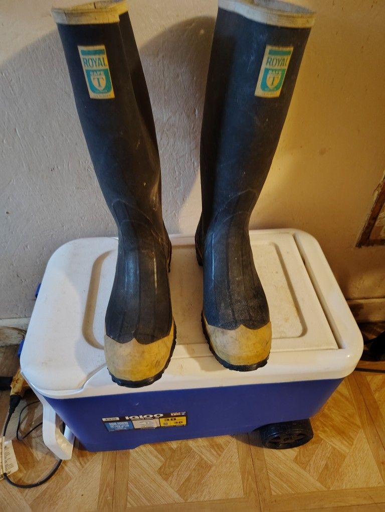 Royal T Rubber Boots