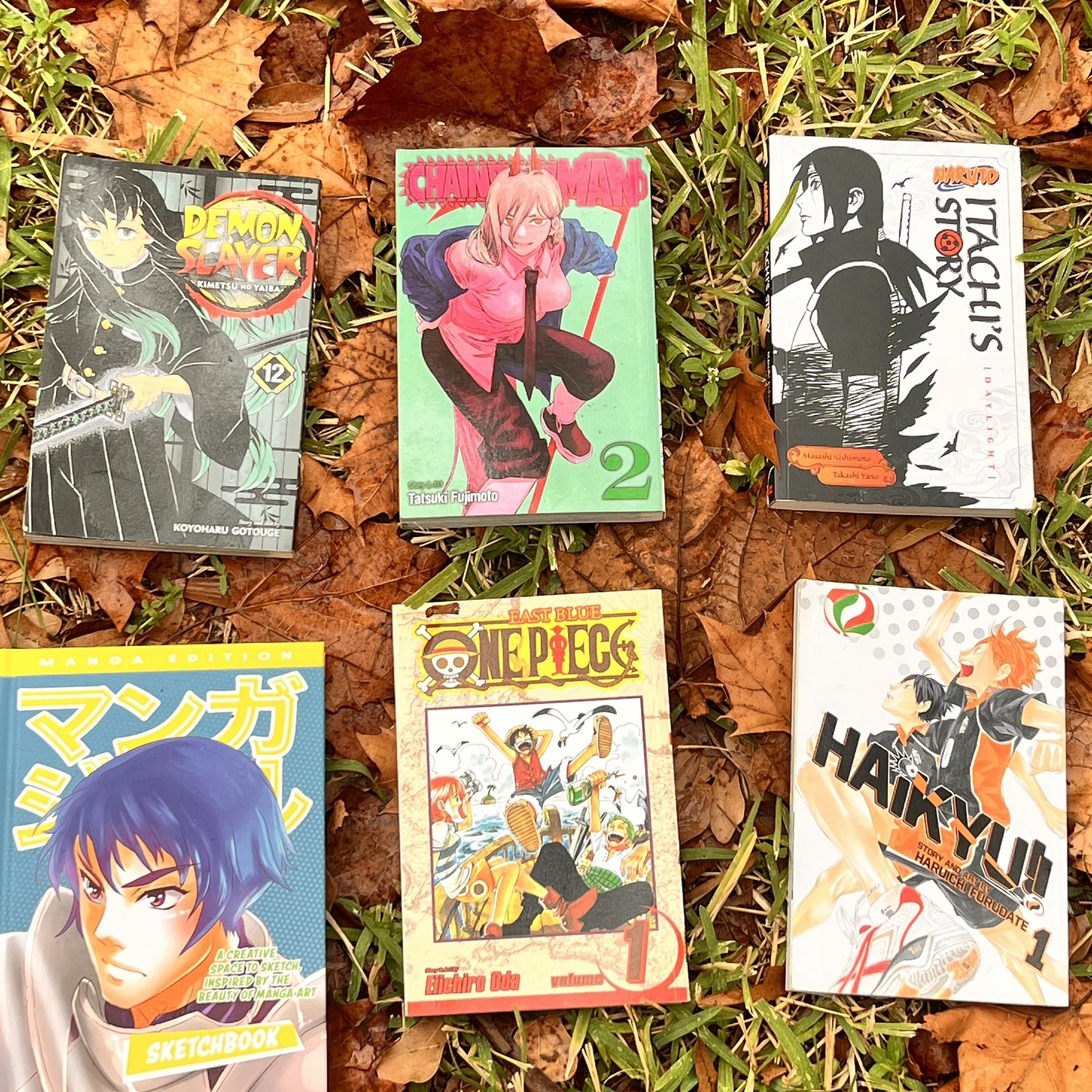 Anime Bundle Of Books 
