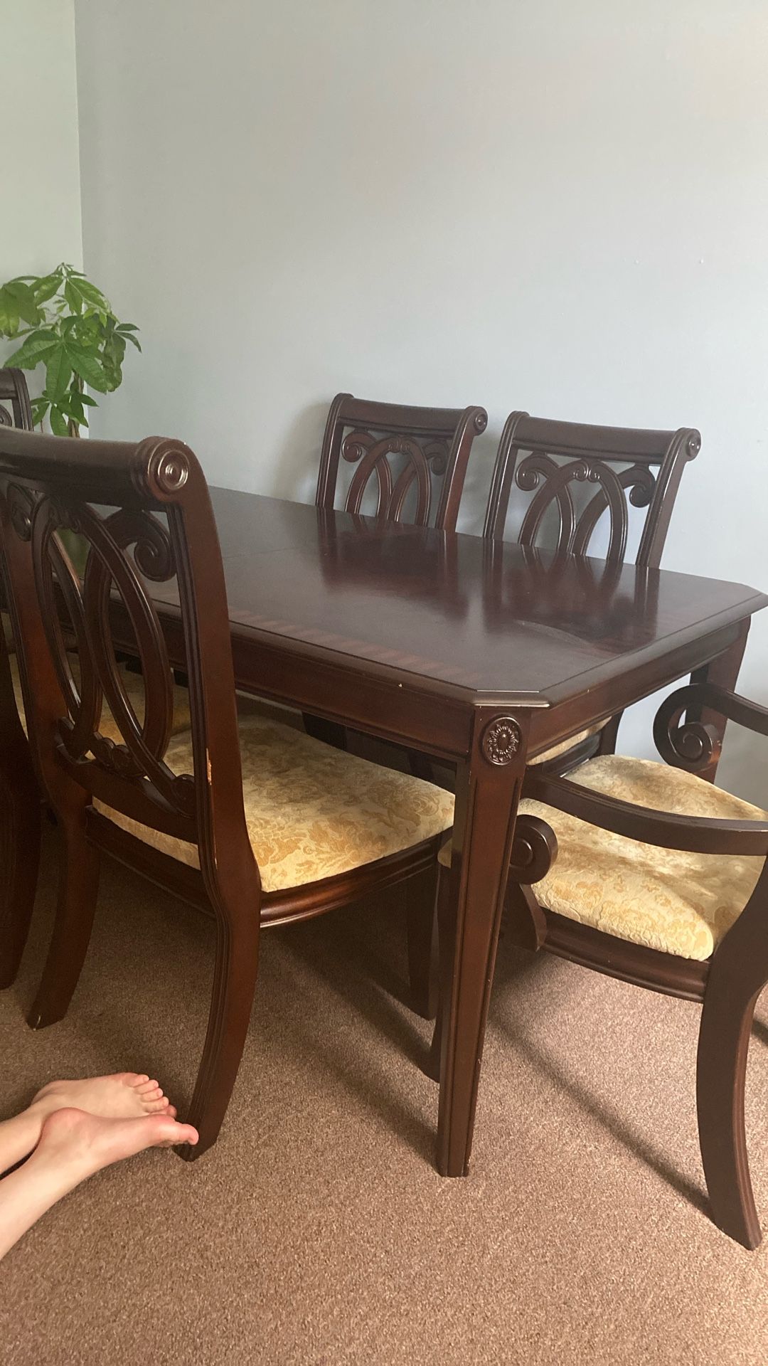 Dinning Board /chairs (for 8 People)