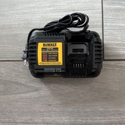 Dewalt Fast Charger
