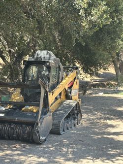 Tree 🌴 grinder tractor 🚜 bobcat skid steer