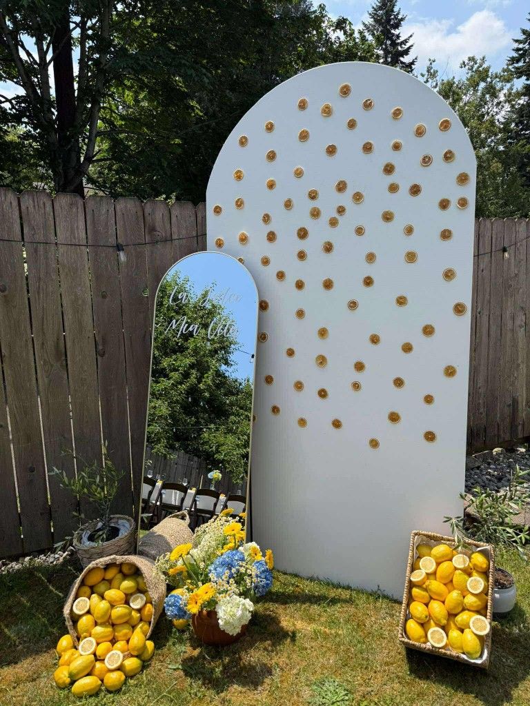 Backdrop For Sale 