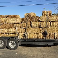 Straw Bale For Sale 