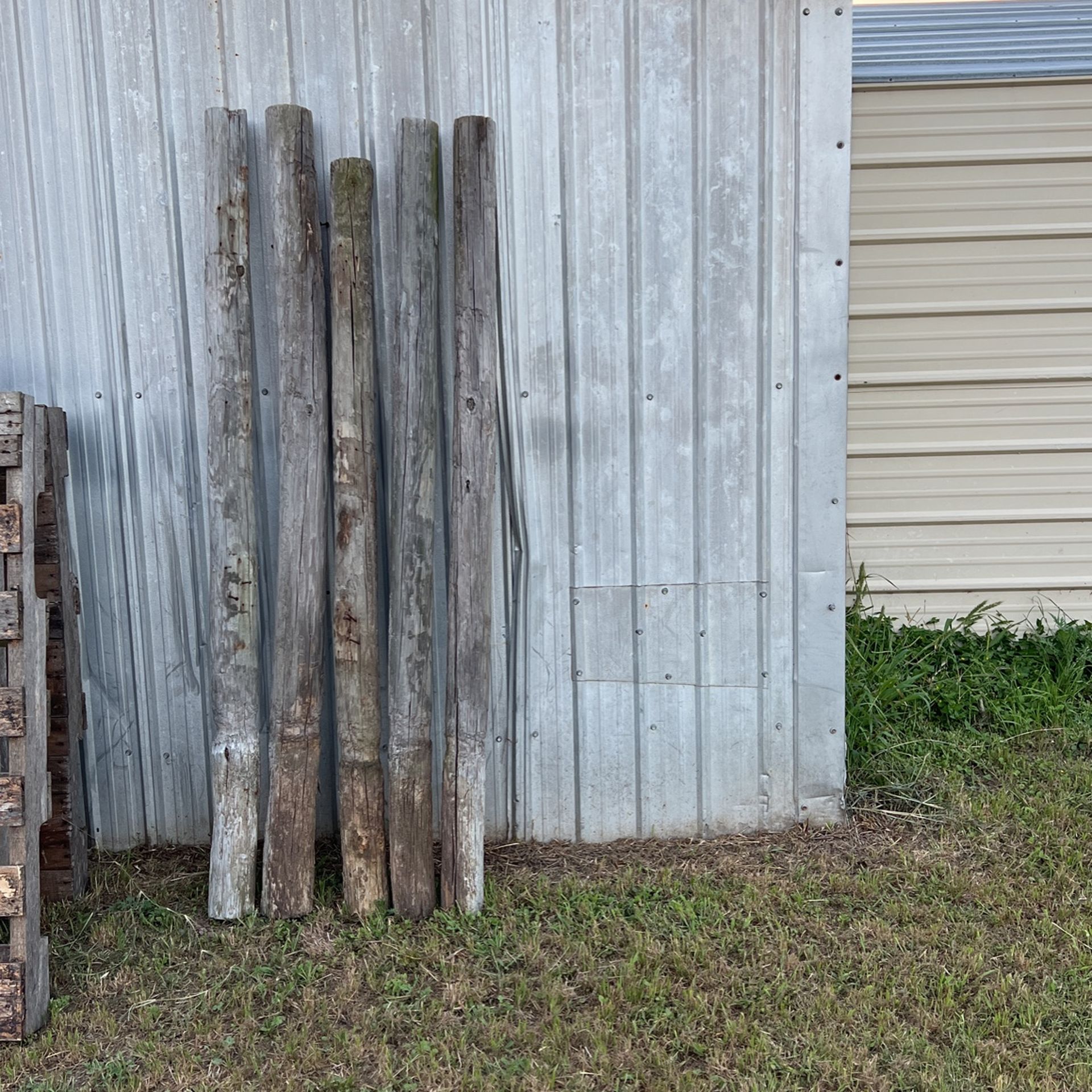 Treated Fence Post.