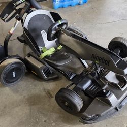 Ninebot Go Kart Pro & Segway