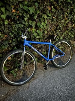 Throne 29er