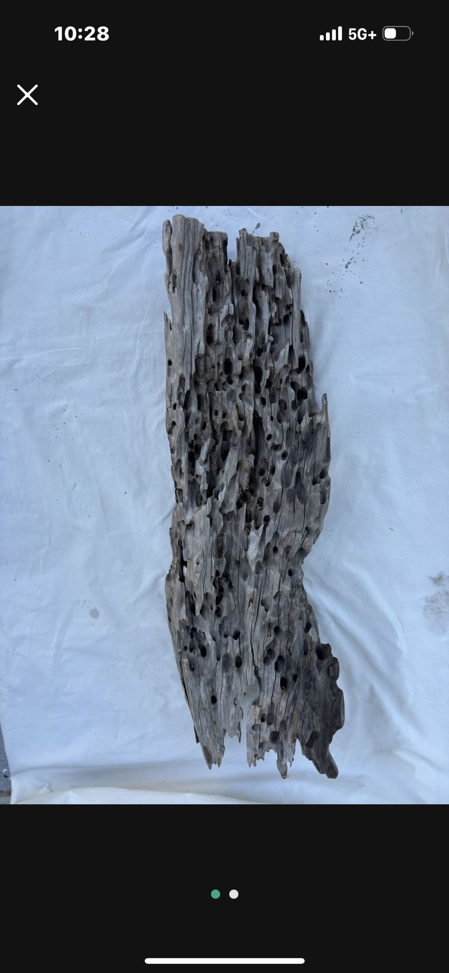 Driftwood 24" X 8"