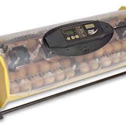 Incubator for up to 40 eggs Brisnea automatic