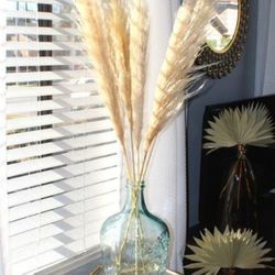 Pampas Grass for Sale - 3 Stem Medium Style Sarah