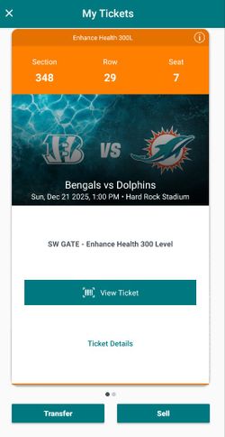 Miami Dolphins
