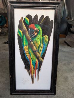 Parrot Art By Guacamaya
