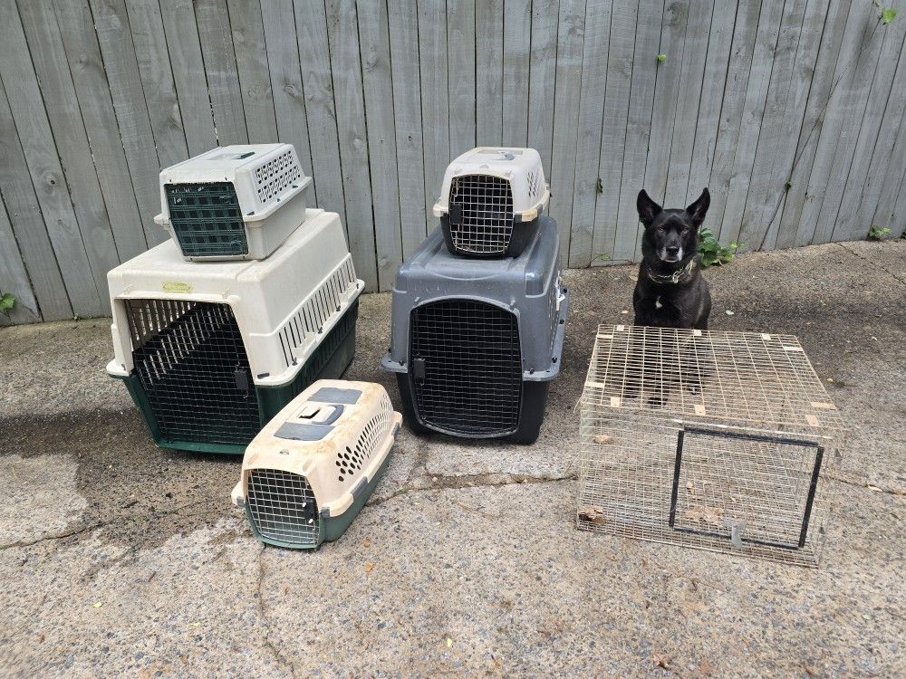 Crates And Cages