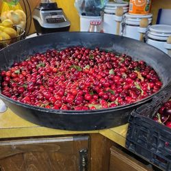 Cherries cherries and more cherries local from my backyard To your table