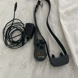 Electric Dog Collar With Remote