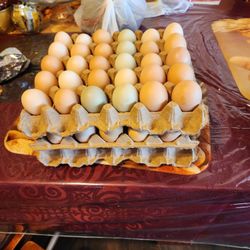 Organic Eggs / Huevos Organicos