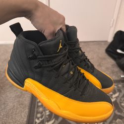 Retro Jordan 12s: University Gold