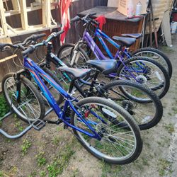 BIKES, BIKES and more BIKES... Going out of business sell, all 32 bikes selling together for one low price $800.