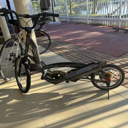 Elliptical Bike Zule
