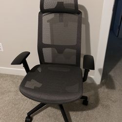 Ergonomic Office/Gaming Chair
