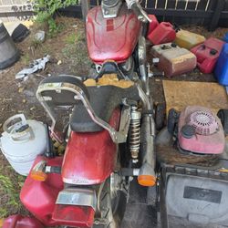 Honda Shadow Spirit 750 - Parts Bike - Wiring Harness Eaten by Dog