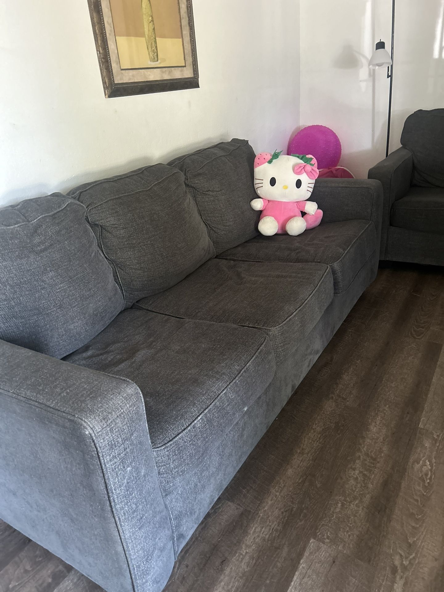 Couches With Pull Out Bed