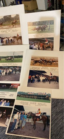 Horse Racing Winners Circle Photos- One Piece For All