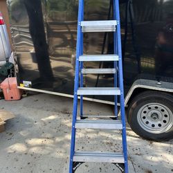Fiber Glass Ladder 