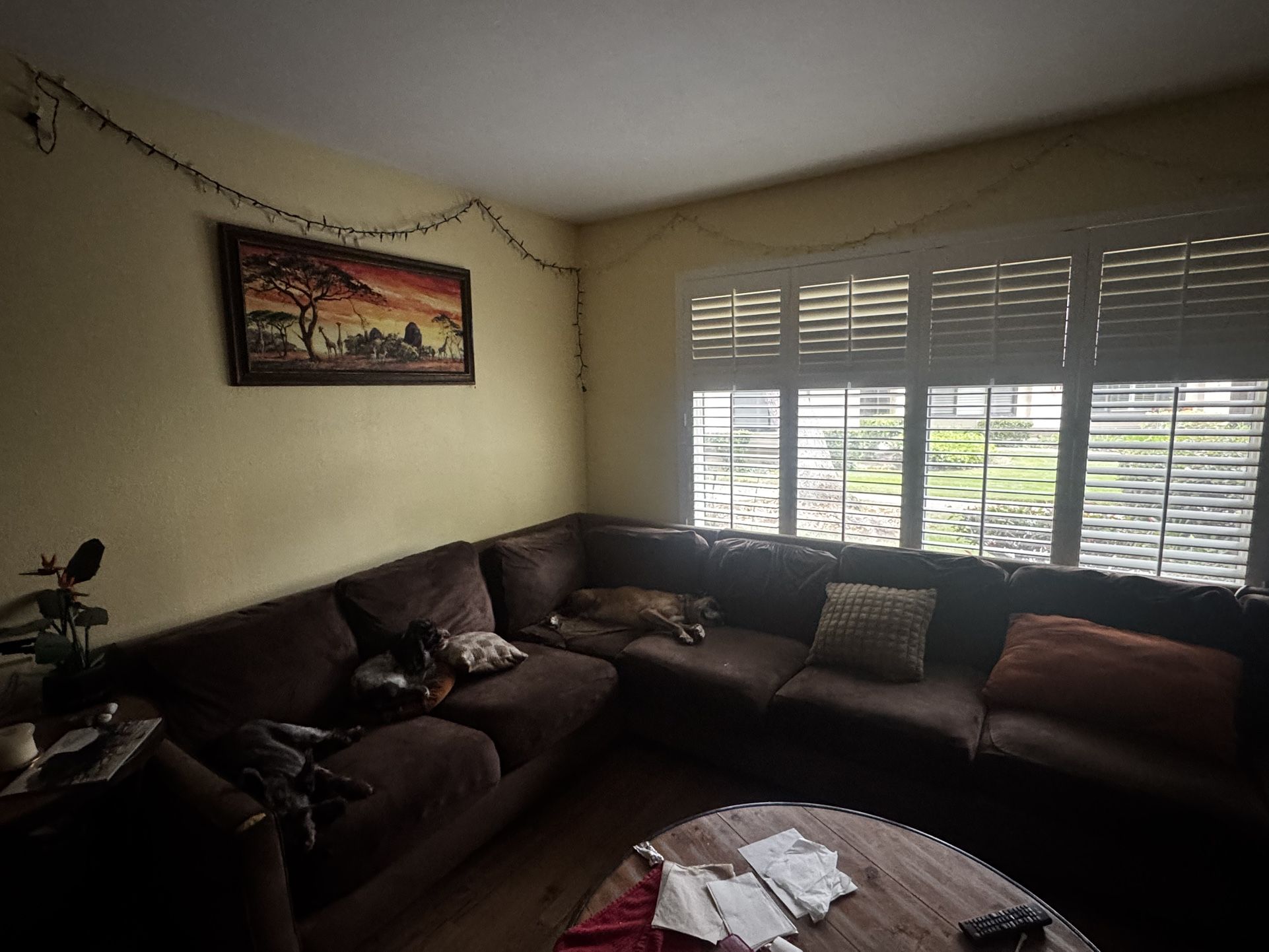 Couch