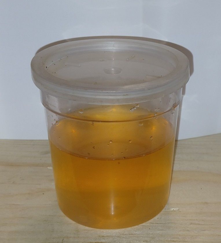 Vinegar Eels (8 Full OZ) Large culture Live Food For Fish Fry