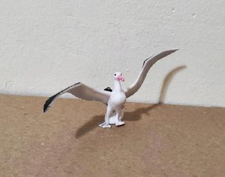 Safari Ltd Albatross Figure – Wandering Albatross Wings of the World Bird Toy Fi