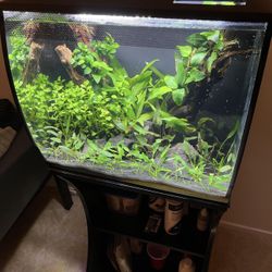 Fluval Flex 15 Gallon Aquarium + Stand + Upgrades