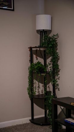 Black 4-Tier Corner Shelf with RGB LED Lamp and Plants Included