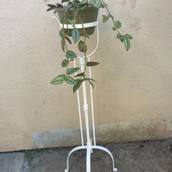 Wrought Iron Plant Stand
